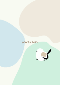 Long-tailed tit walking 3colors28 Japan