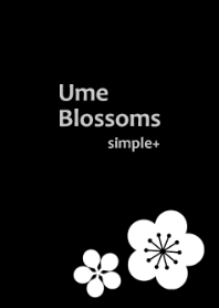 Ume Blossoms[simple+]B