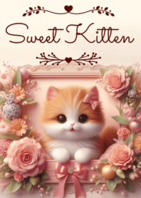 Sweet Kitten No.438