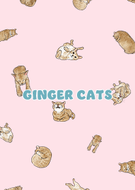 gingercats3 / pink