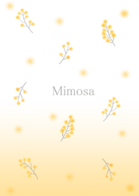 MIMOSA -Yellow little flower-spring