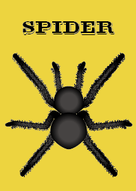 Horror Illustrated - Spider