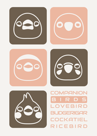 Companion Birds/Brown 14.v2