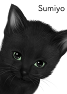Sumiyo Cute black cat kitten