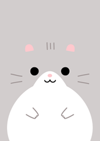 FACE (djungarian hamster)