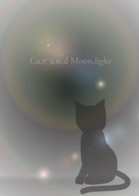Cat and Moonlight