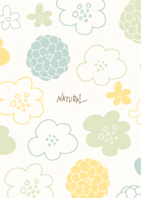 Colorful round flowers25 from Japan