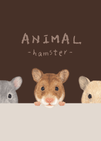 ANIMAL - Golden hamster - DARK BROWN