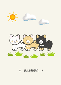 Round face Shiba Inu and Japanese sweets