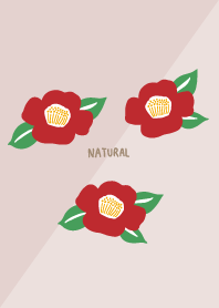 Camellia blooms27 from Japan