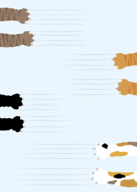 Cats scratching_white3