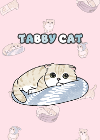 creamtabby3 / pink