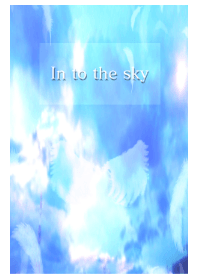 in to the sky