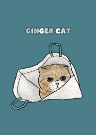 gingercat7 / dark neil blue