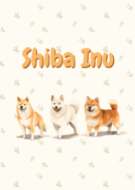Shiba Inu minimal