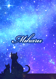 Miharu Milky way & cat silhouette