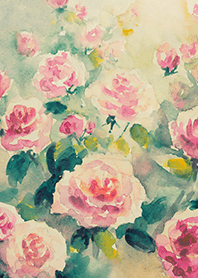 Beautiful rose flower(R4760)