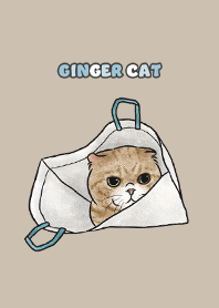 gingercat7 / tan