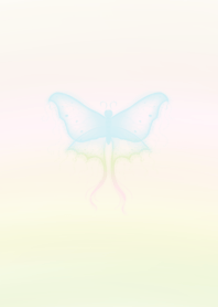 pretty butterflies