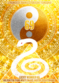 最強最高金運風水 黄金の太極図と白蛇 69