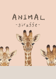 ANIMAL - Giraffe - SHELL PINK