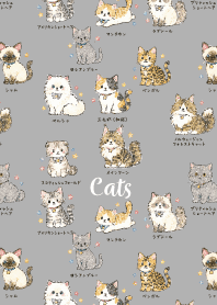 My beloved cat01 white