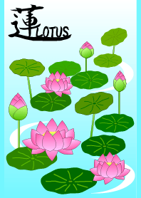 HASU. -Lotus-