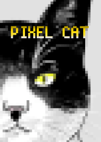 PIXEL CAT