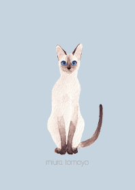 simple シャム猫