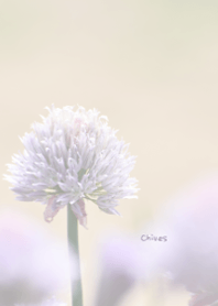 Chives Theme