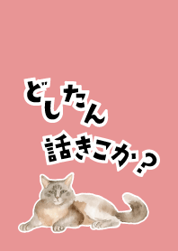 light pink 相談にのる猫