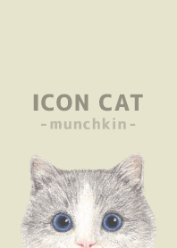 ICON CAT - Munchkin - PASTEL YE/06