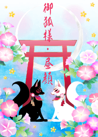 御狐様 昼顔