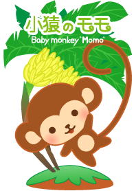 Baby monkey "Momo"