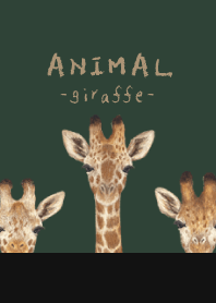 ANIMAL - Giraffe - CHRISTMAS GREEN