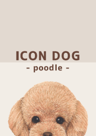 ICON DOG - toy poodle - BROWN/05
