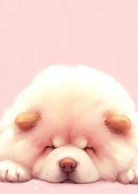 視界旗艦 203 - 鬆獅犬