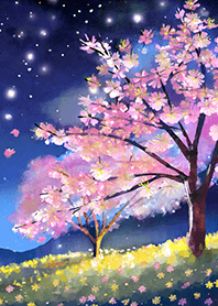 Beautiful night cherry blossoms#1280
