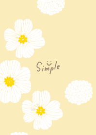 white delicate flowers19