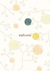 winter branch13 from Japan