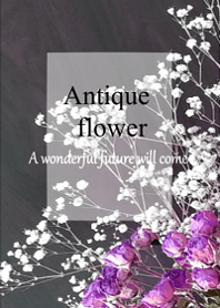 World of Antique dried flower.2
