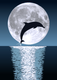 theme of a dolphin with the moon