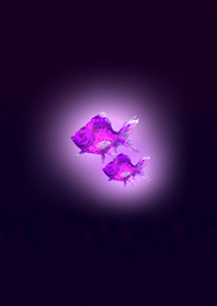 Mini goldfish in dark night purple 3