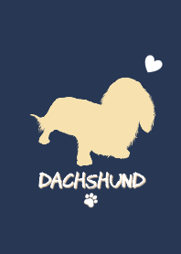 Dachshund love
