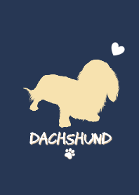 ♥Dachshund♥love