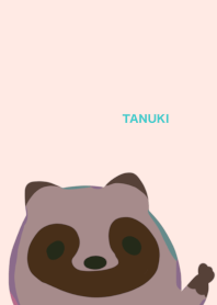 Raccoon dog tanuki