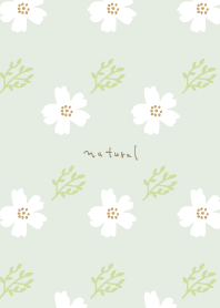 Small florets and leaves5 from Japan