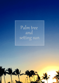 Palm tree and setting sun 3
