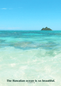 Hawaiian ocean is so beautiful - shell 2