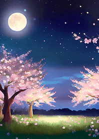 Beautiful night cherry blossoms#1027